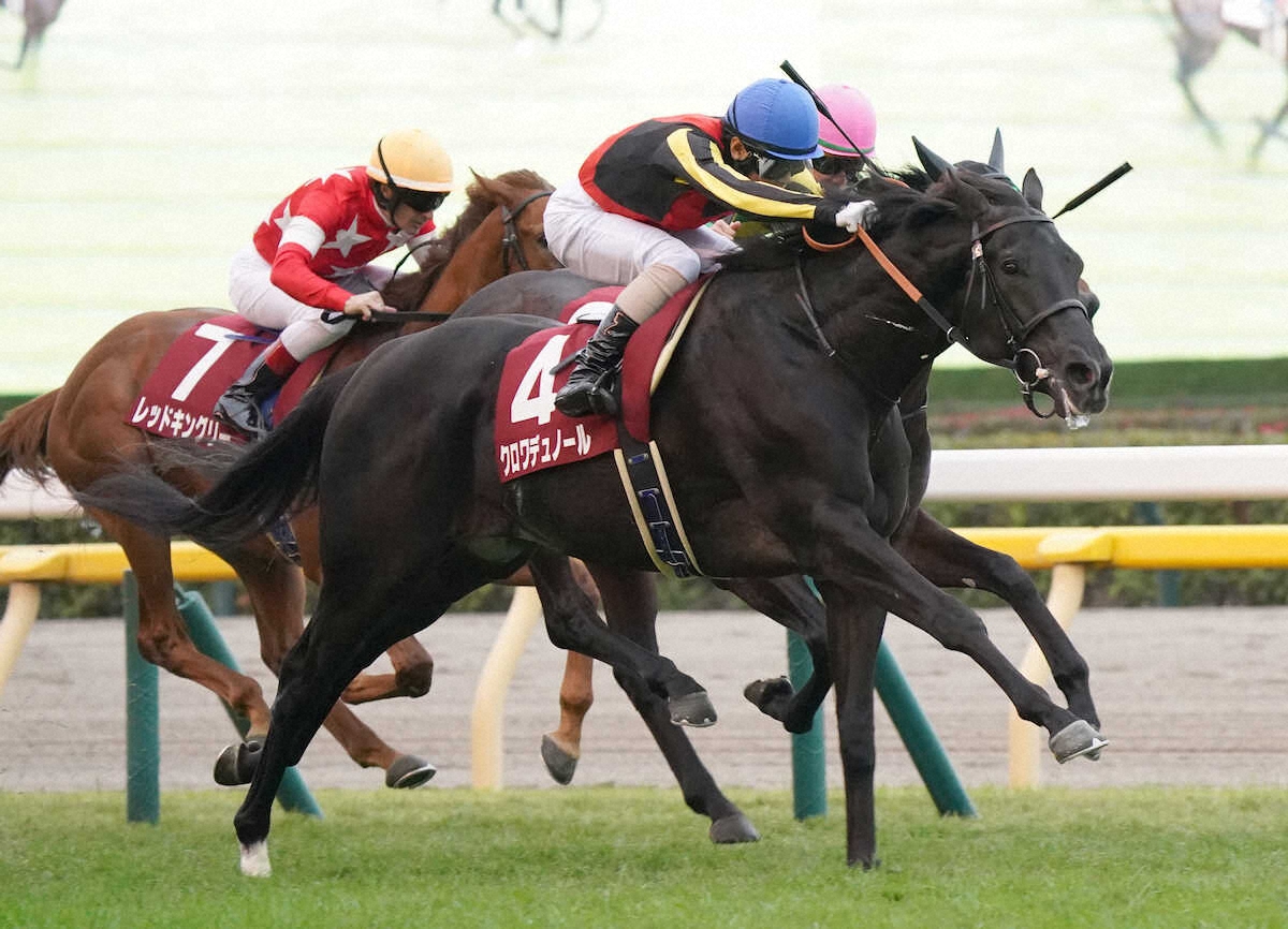 第30回 東京スポーツ杯2歳ステークス