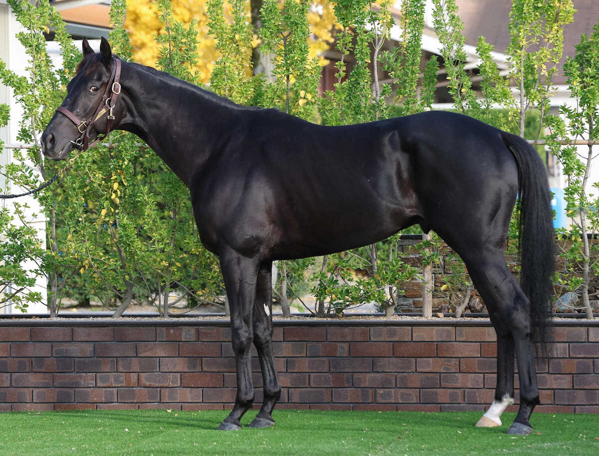 クロワデュノール