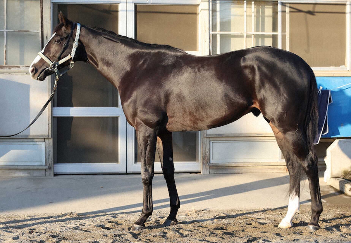 マスカレードボール