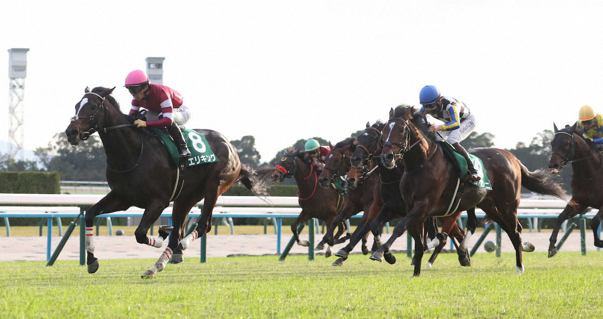 第12回 ラジオNIKKEI杯 京都2歳ステークス