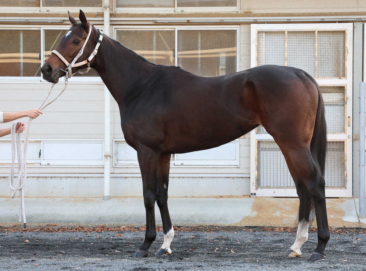 ダブルハートボンド