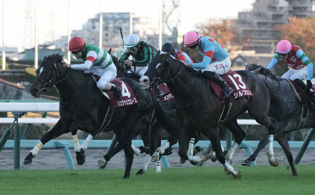 第59回 スポーツニッポン賞 ステイヤーズステークス