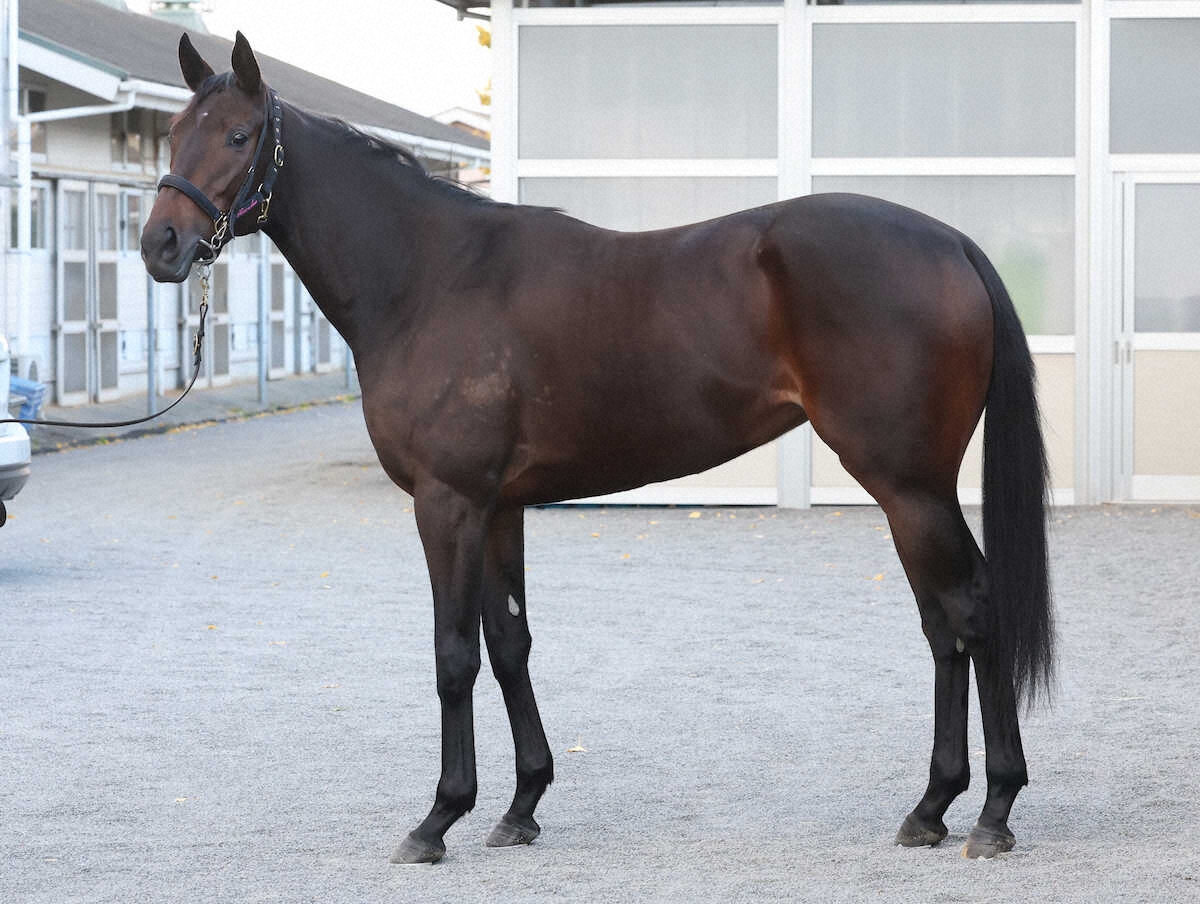 タイセイボーグ