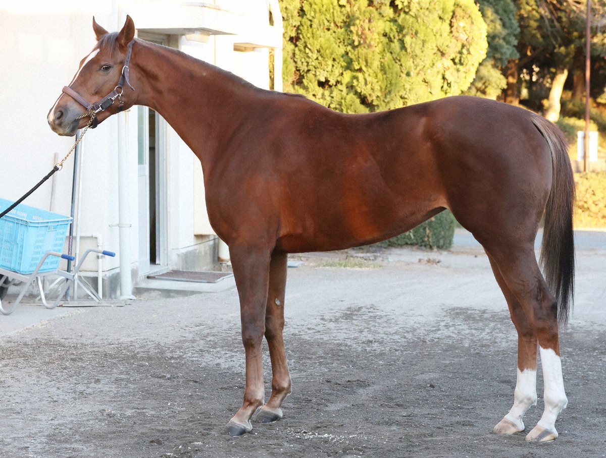 ヒズマスターピース