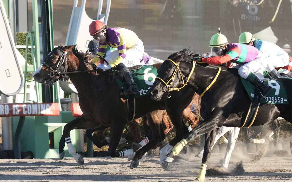 第18回 カペラステークス