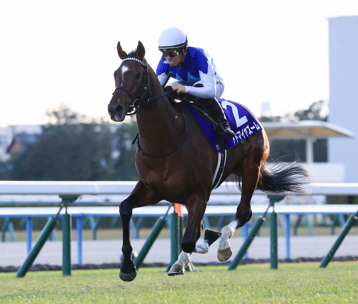 第77回 朝日杯フューチュリティステークス