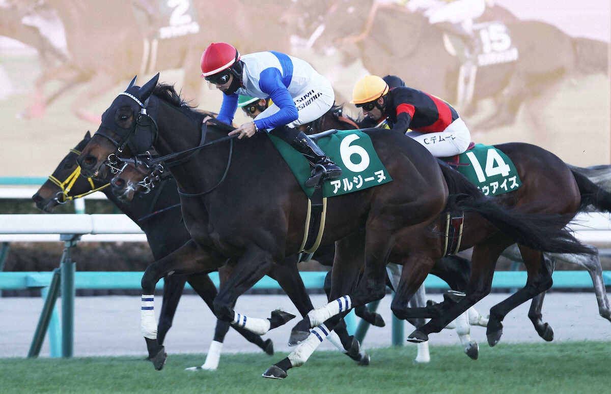 第11回 ターコイズステークス