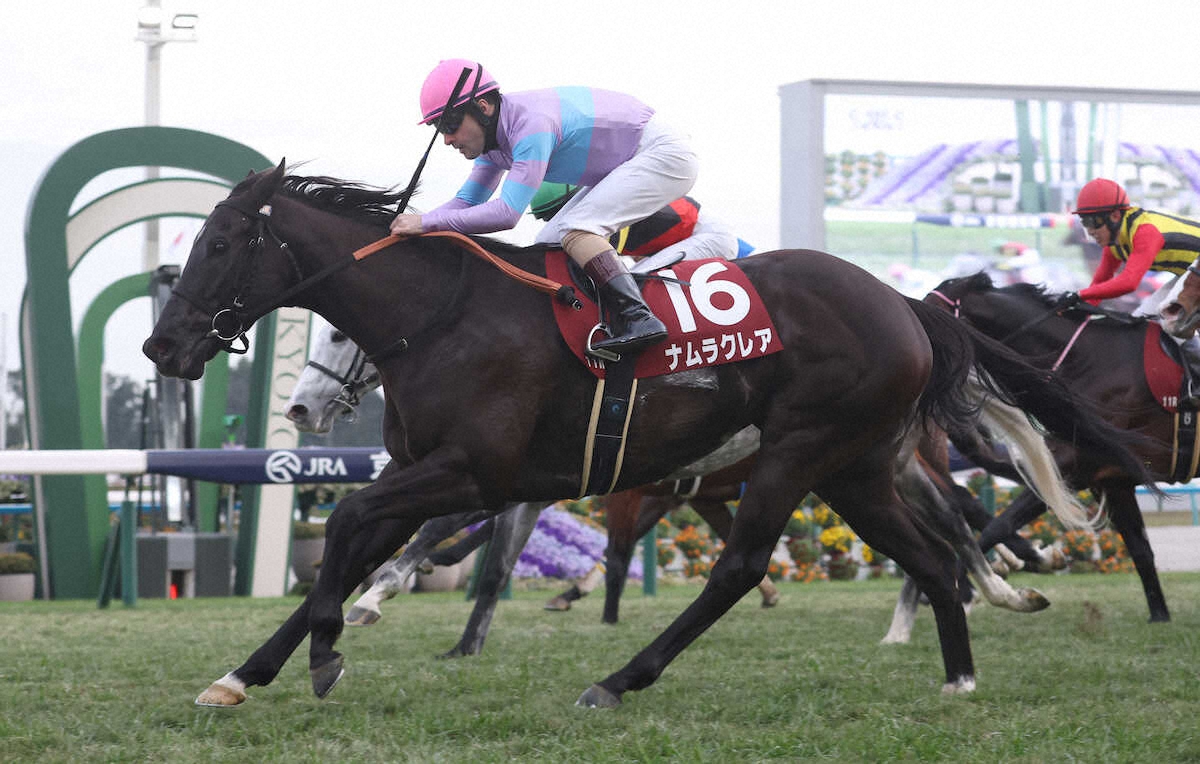 第20回 阪神カップ