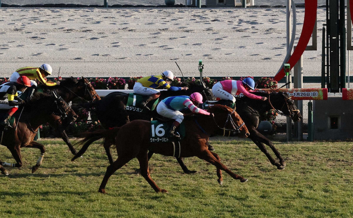 第64回 スポーツニッポン賞 京都金杯