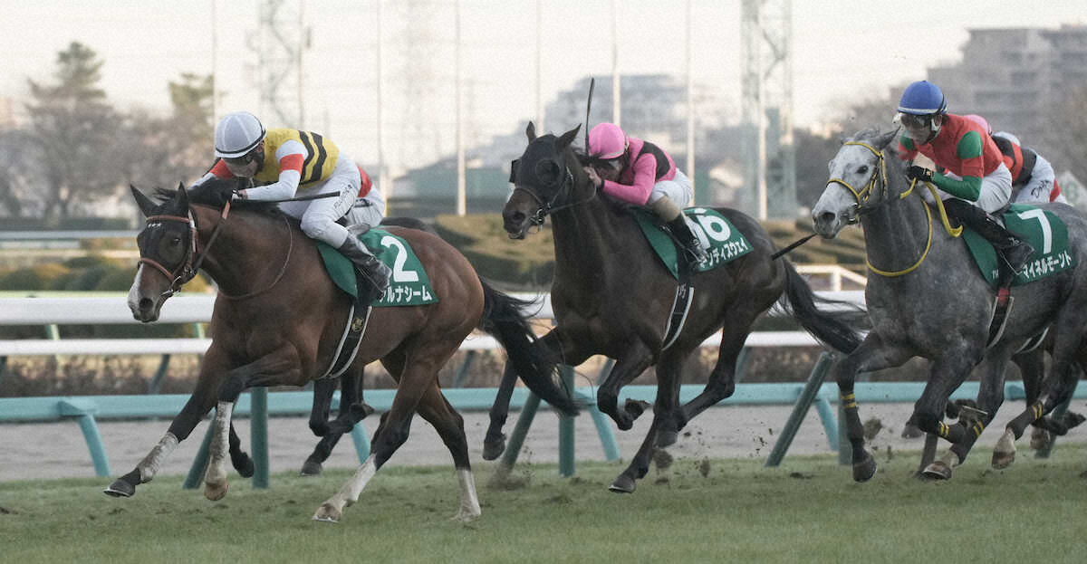 第75回 日刊スポーツ賞 中山金杯