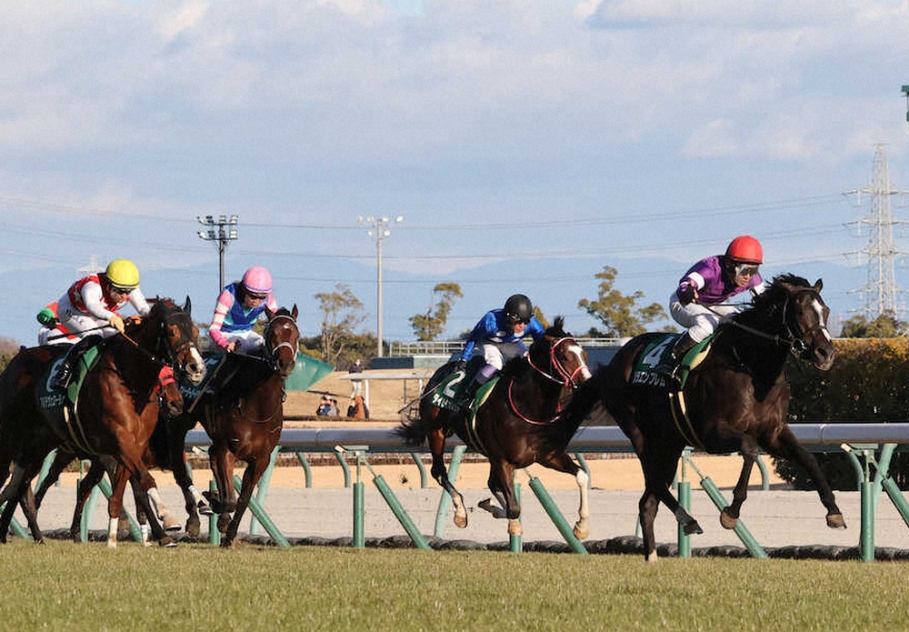 第60回 日刊スポーツ賞 シンザン記念