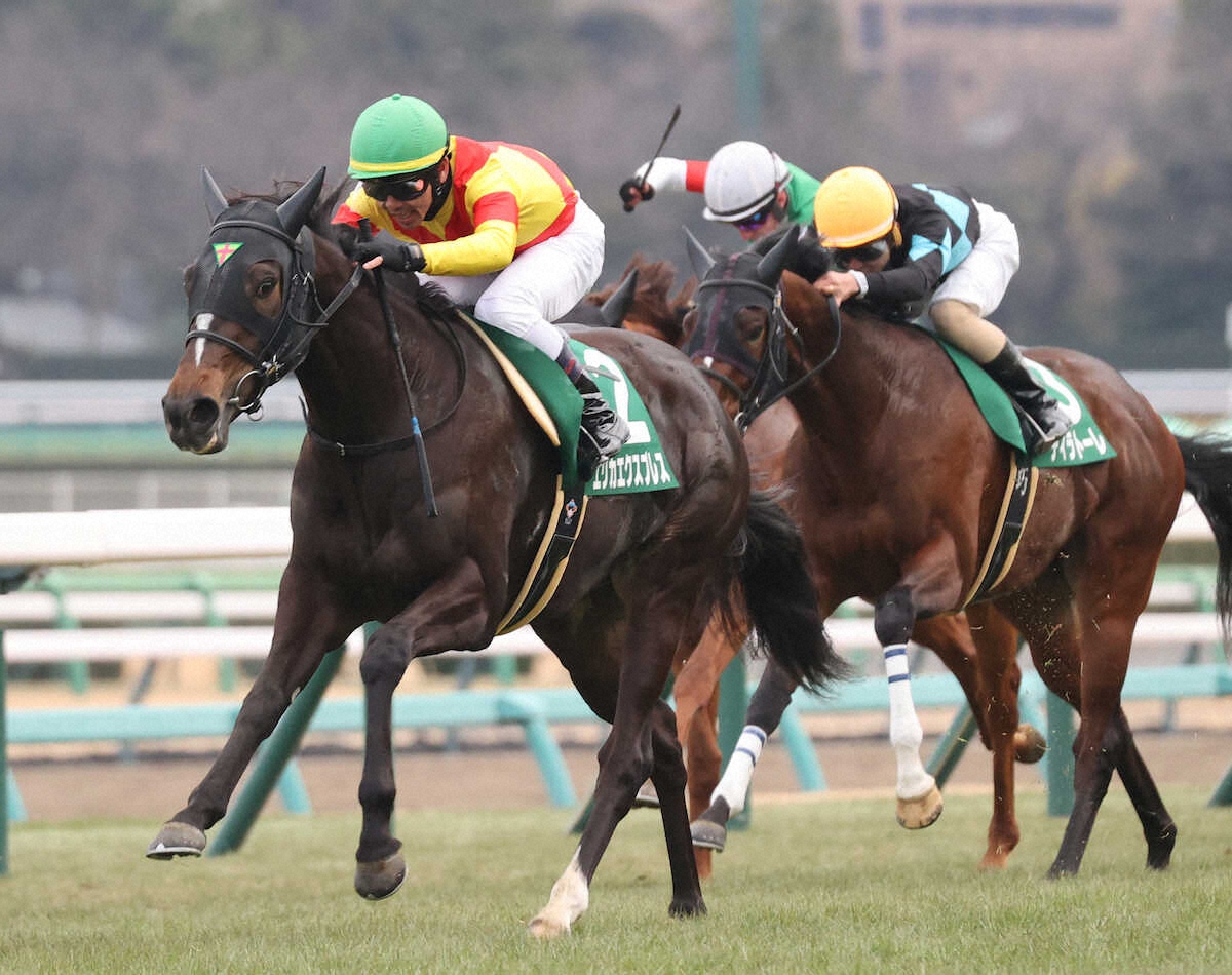 第42回 フェアリーステークス
