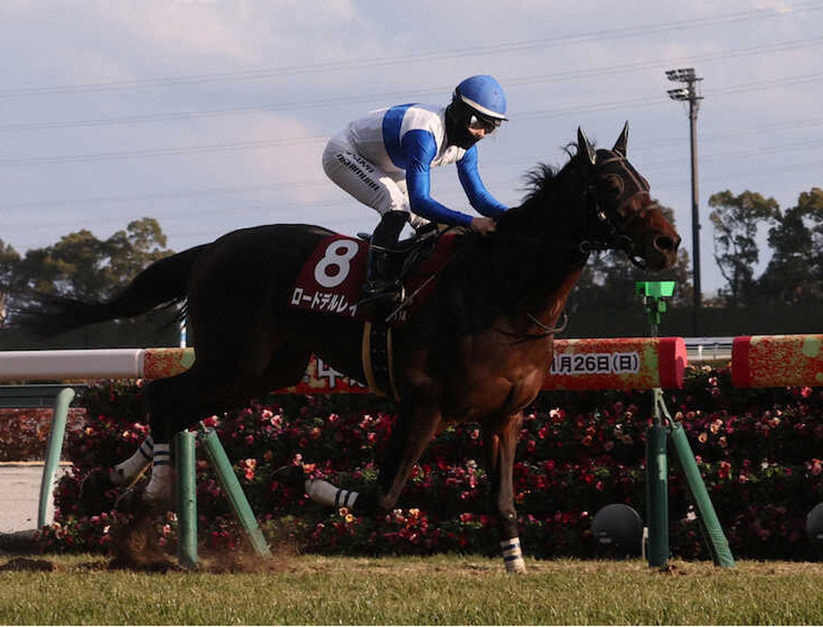 第73回 日経新春杯