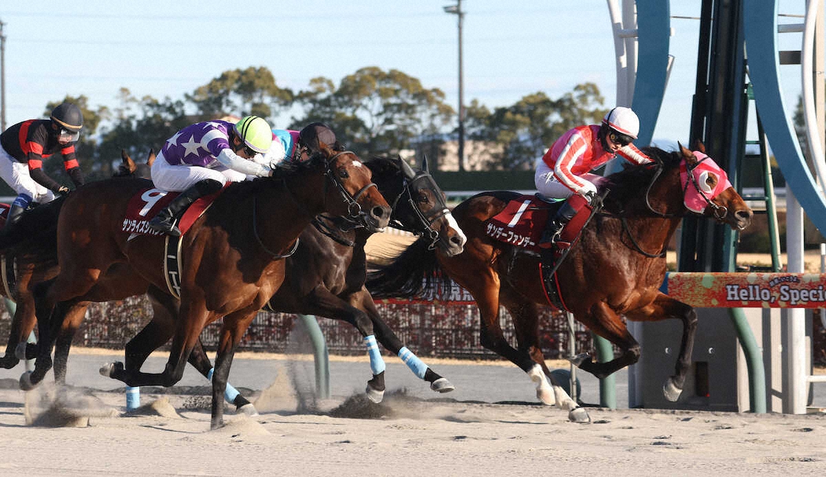 第31回 プロキオンステークス