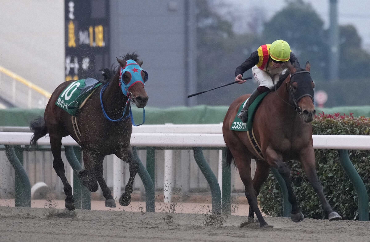 第40回 根岸ステークス