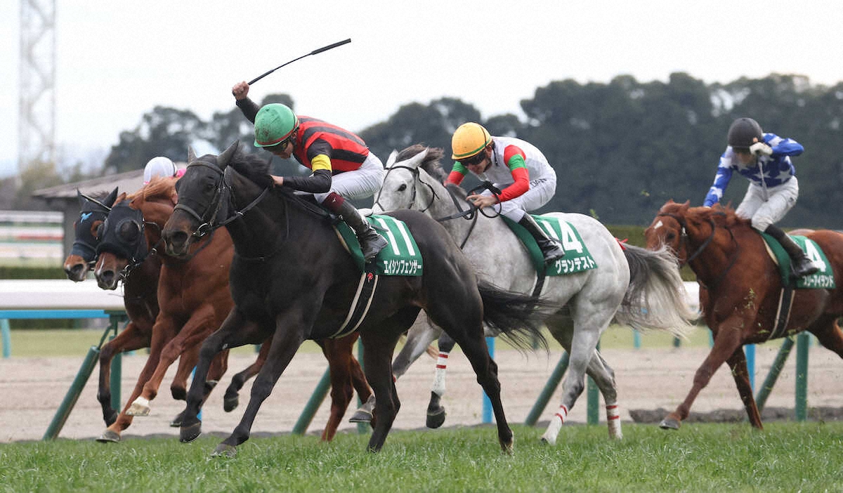 第31回 シルクロードステークス