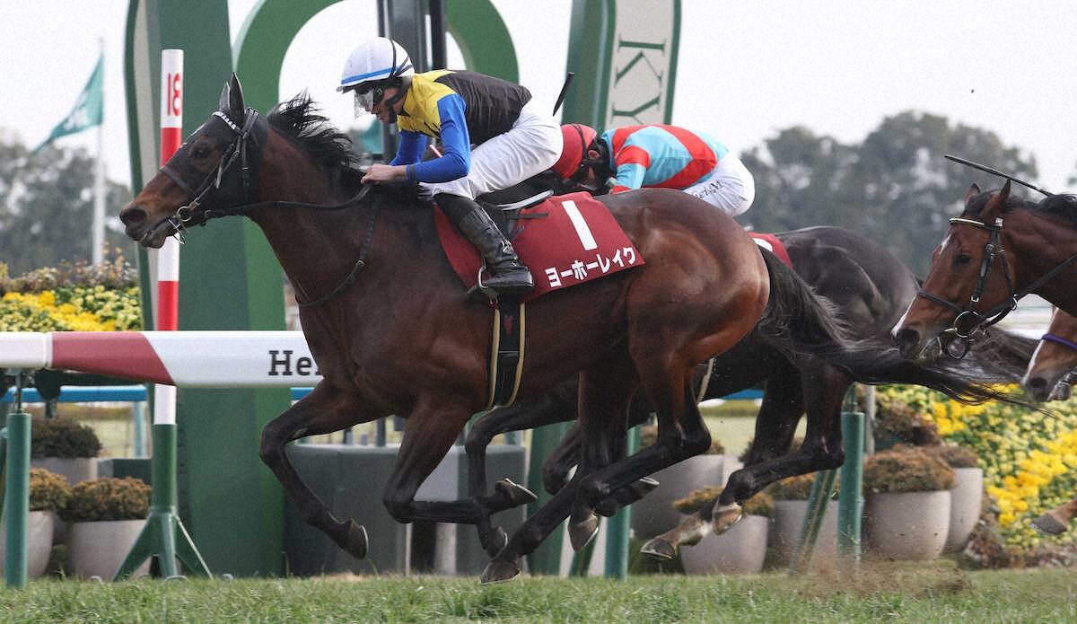 第119回 農林水産省賞典 京都記念