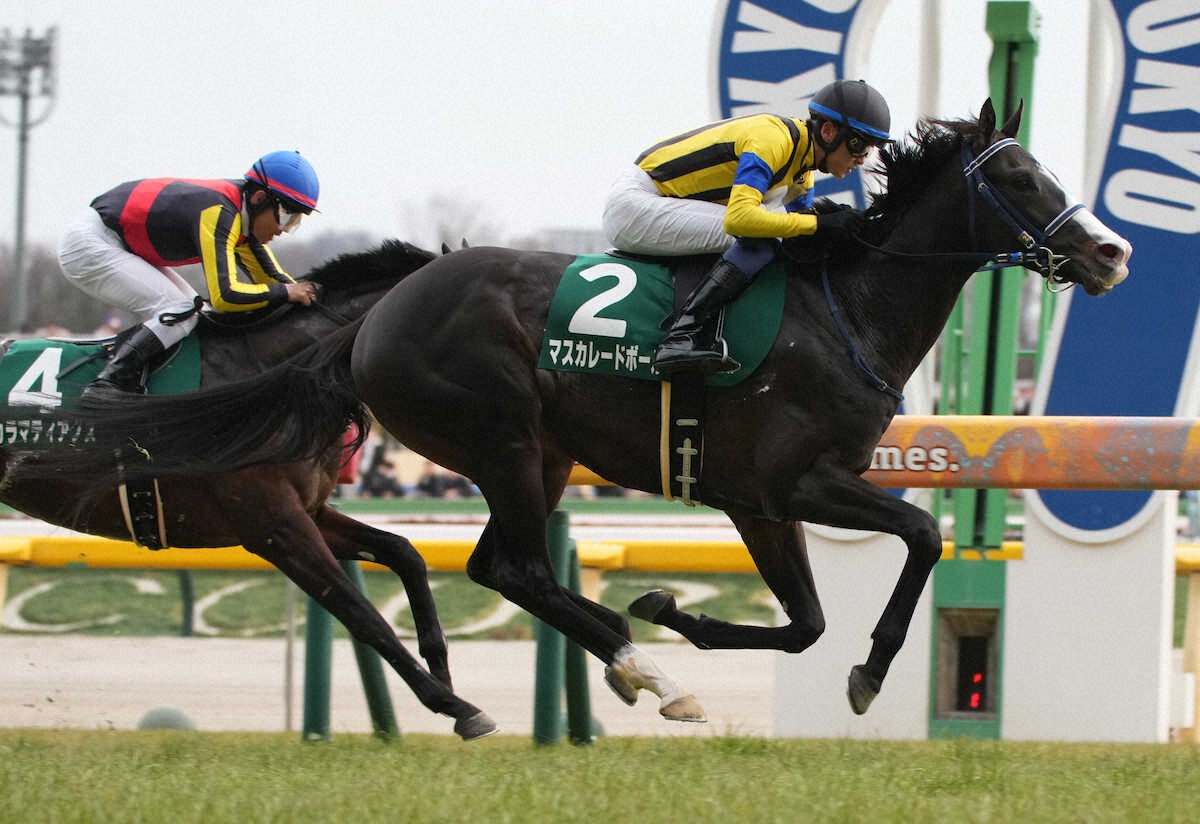 第60回 共同通信杯