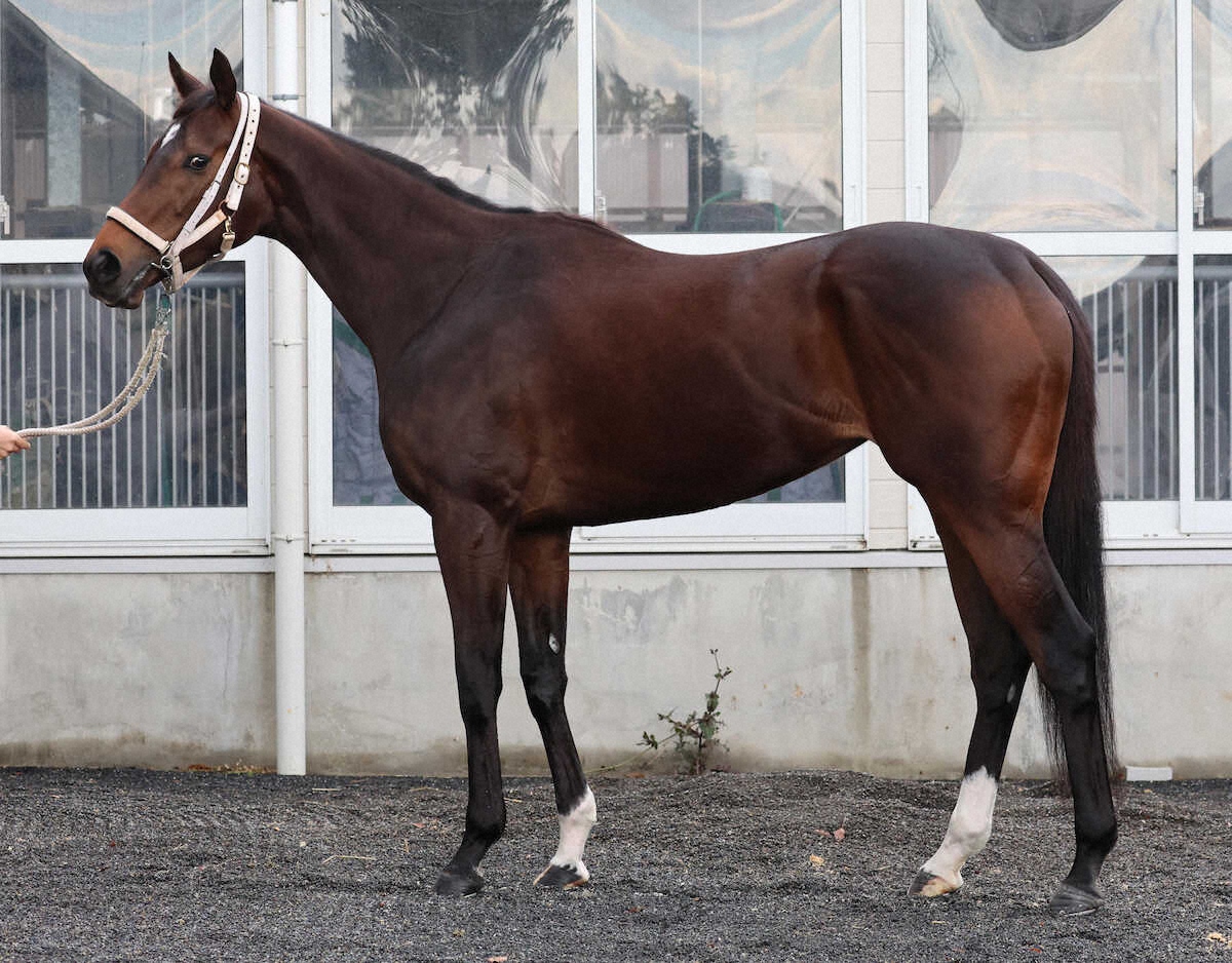 ダブルハートボンド