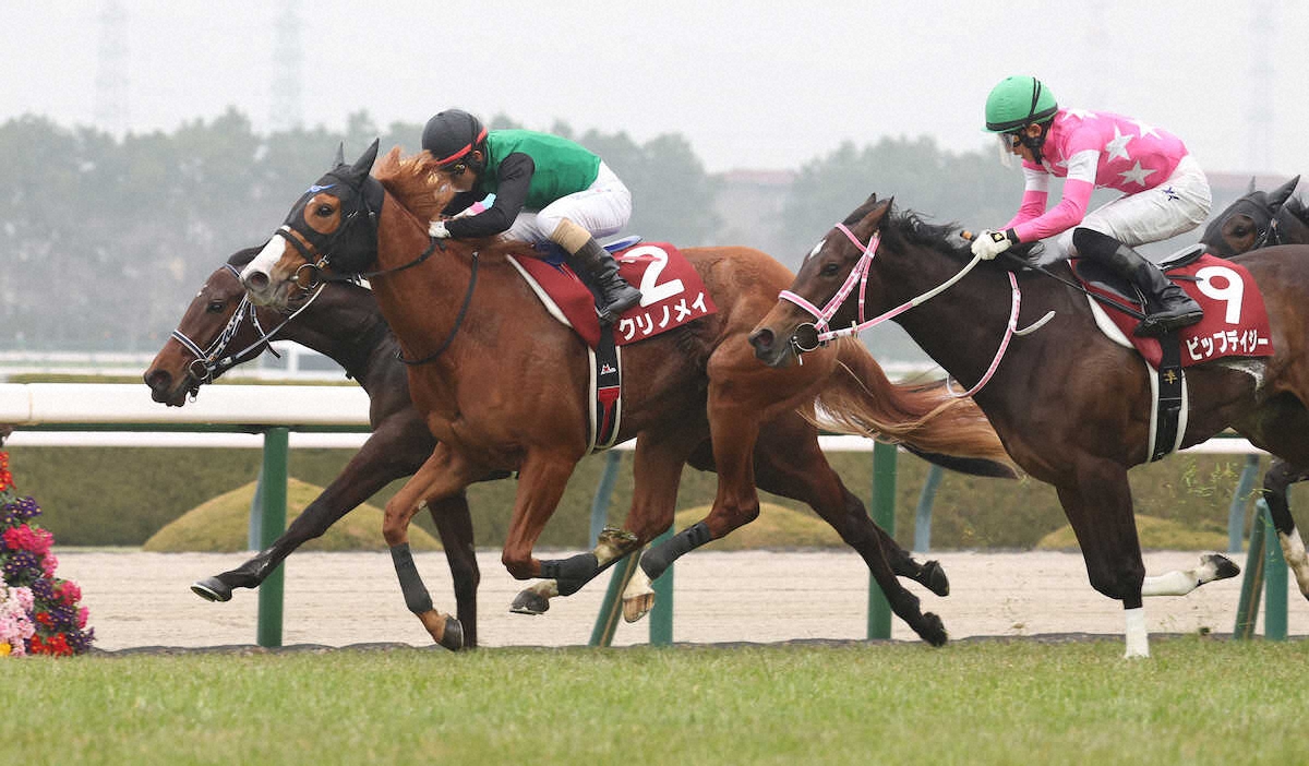 第33回 チューリップ賞