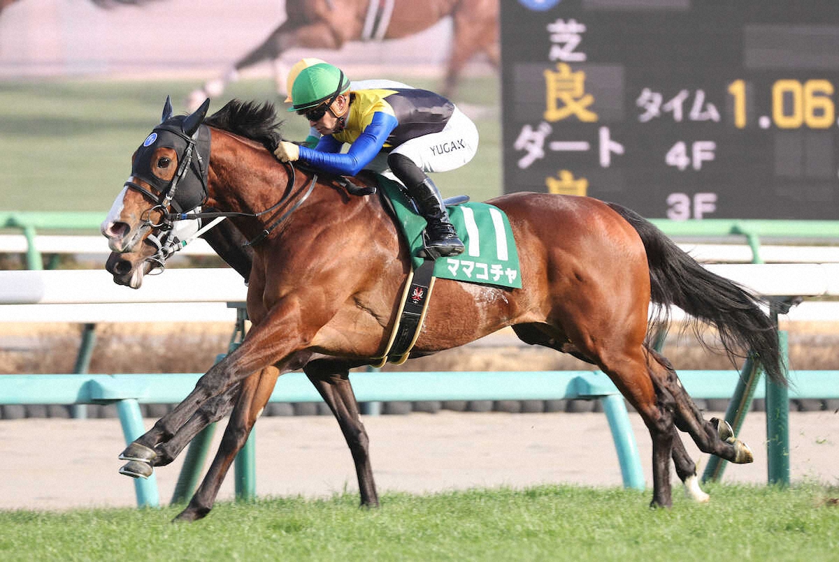 第21回 オーシャンステークス