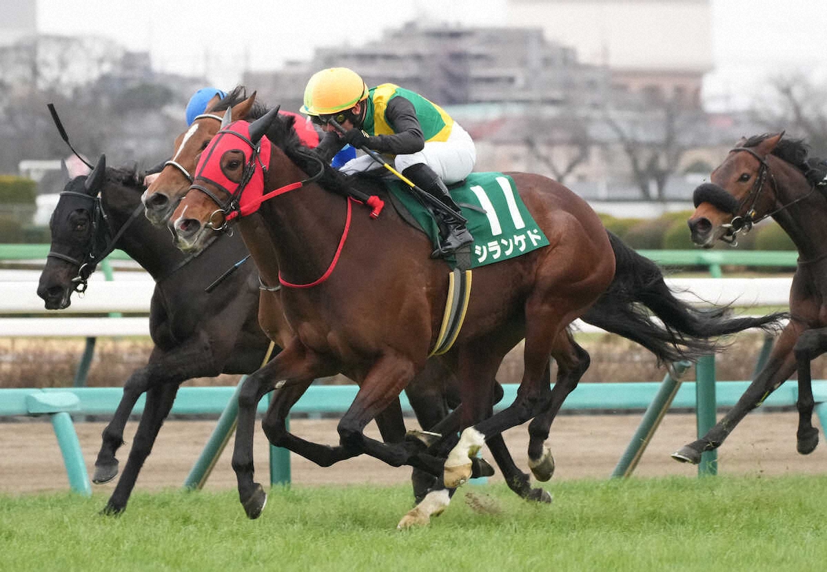 第44回 ローレル競馬場賞 中山牝馬ステークス