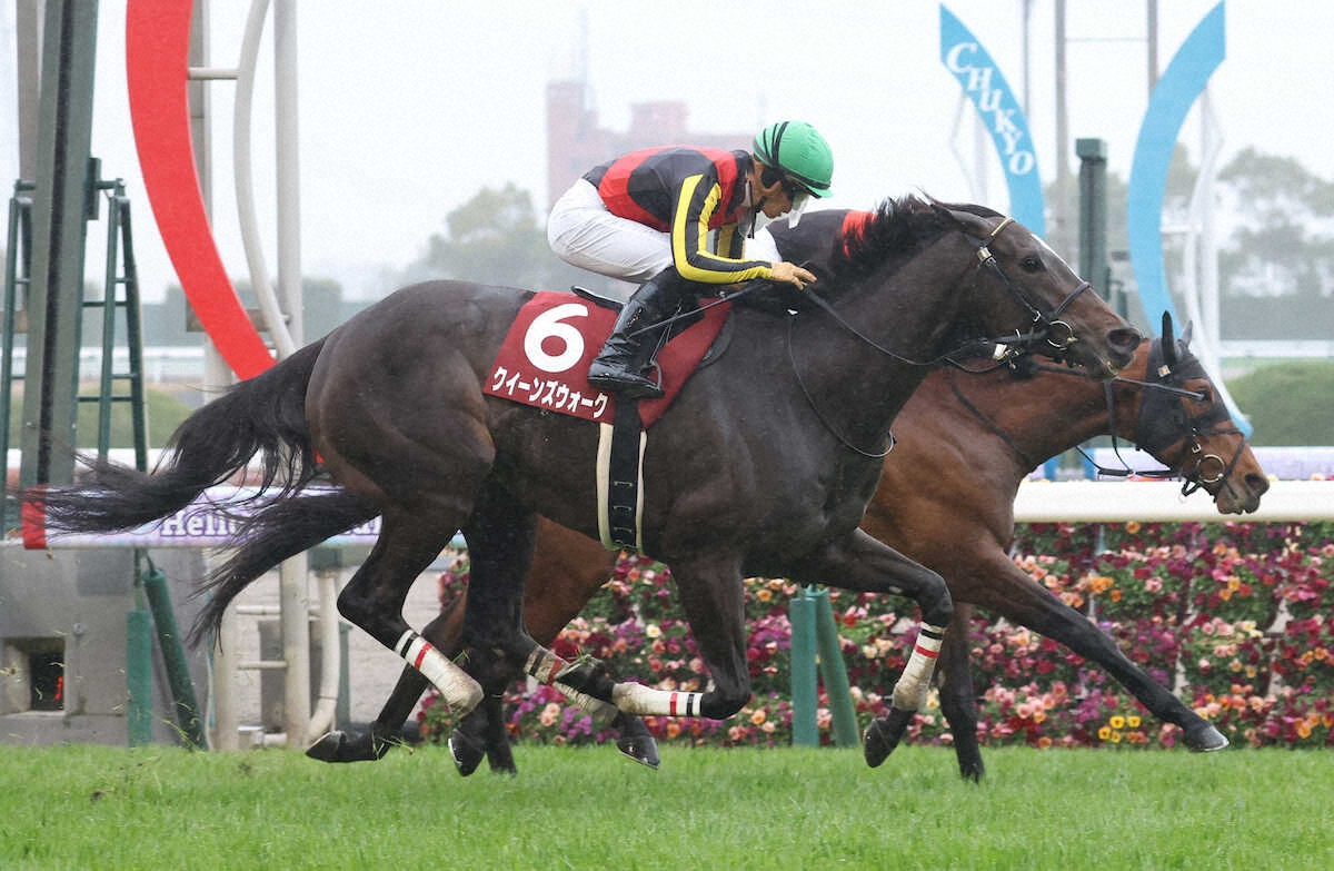 第62回 東海テレビ杯 金鯱賞