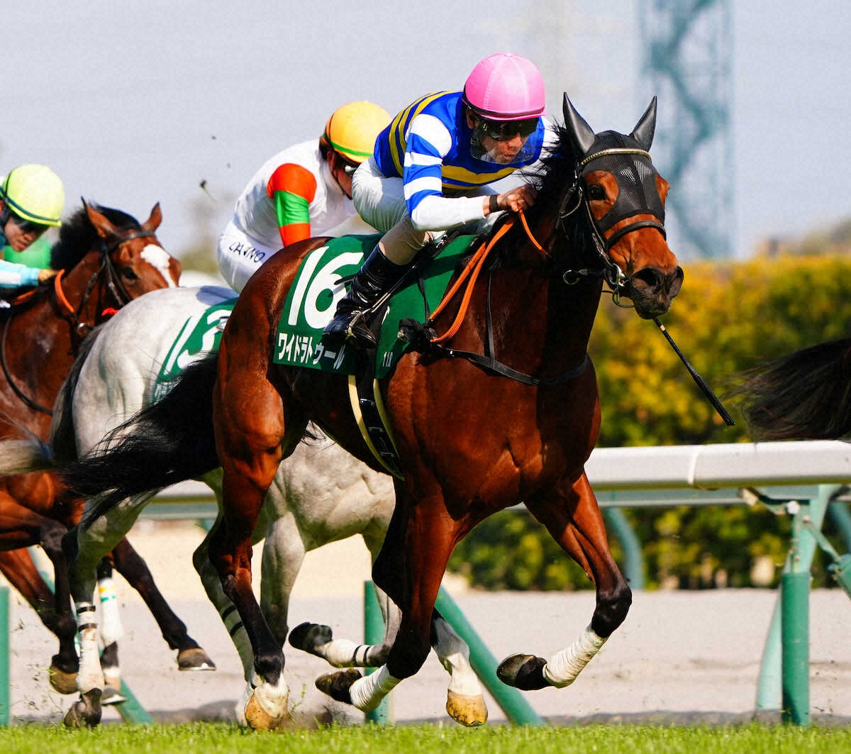 第63回 農林水産省賞典 愛知杯