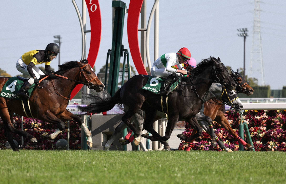 第40回 中日スポーツ賞 ファルコンステークス