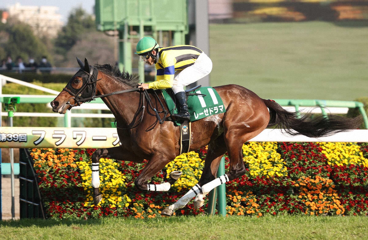 第40回 フラワーカップ