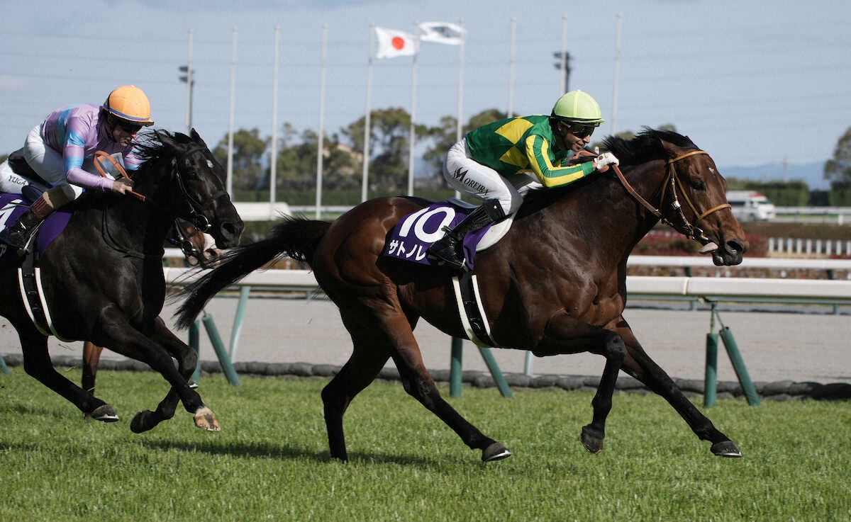 第56回 高松宮記念