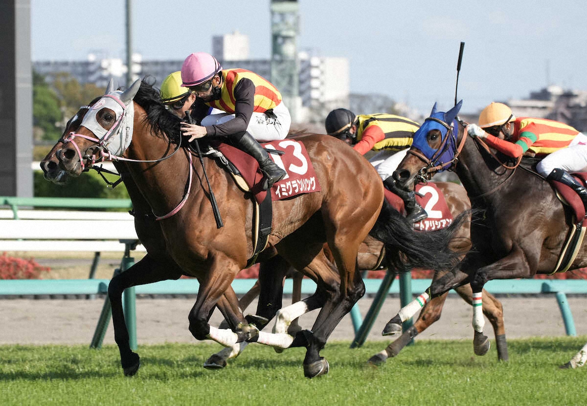 第44回 ニュージーランドトロフィー