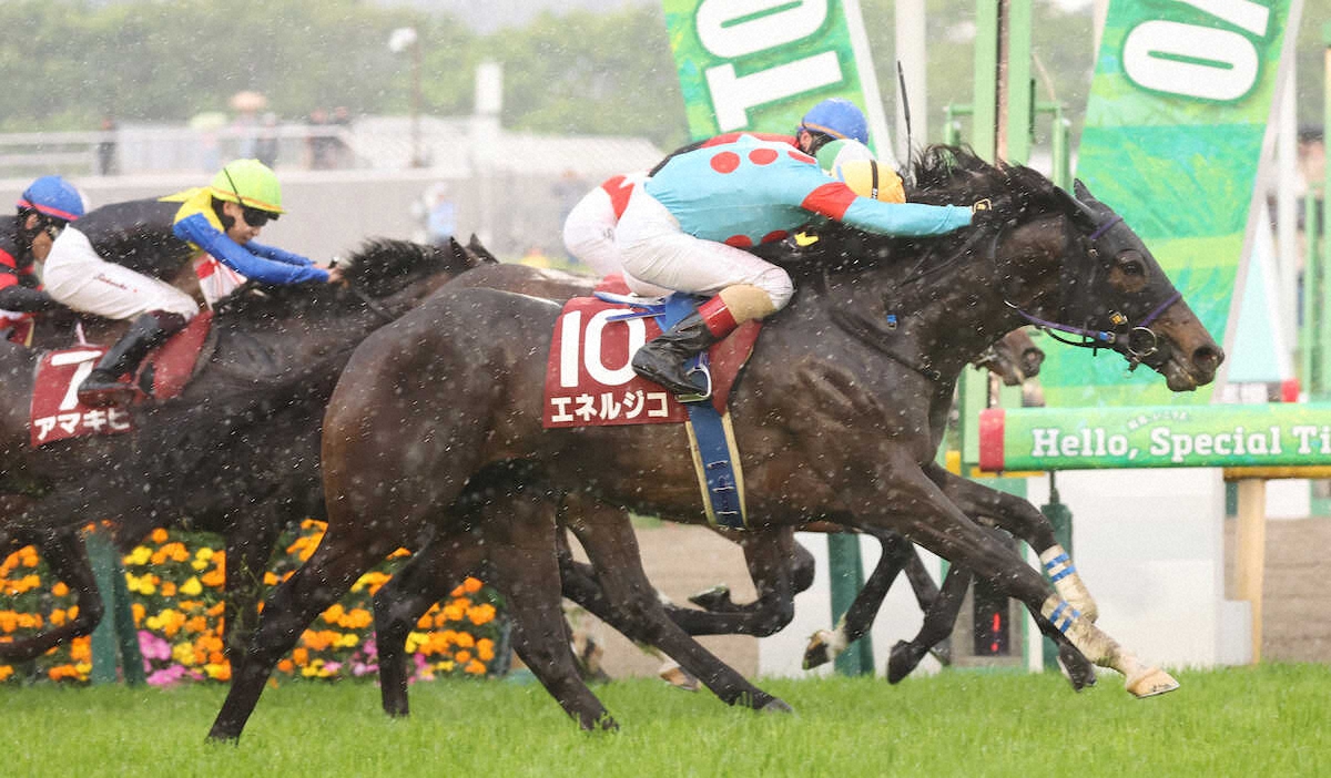 第33回 テレビ東京杯 青葉賞