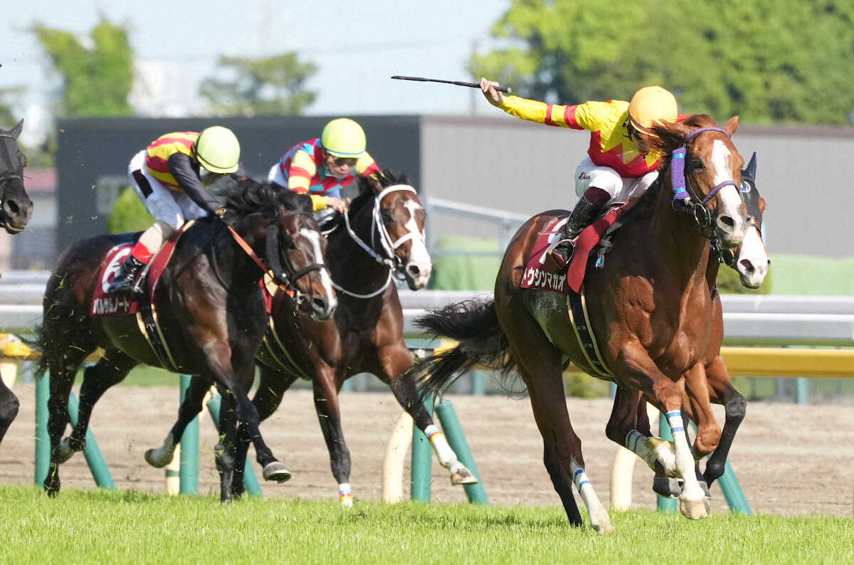 第71回 京王杯スプリングカップ