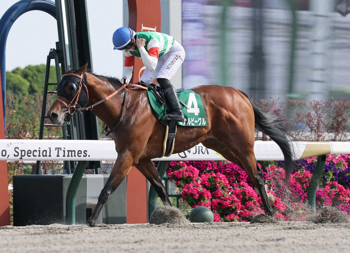 第31回 ユニコーンステークス