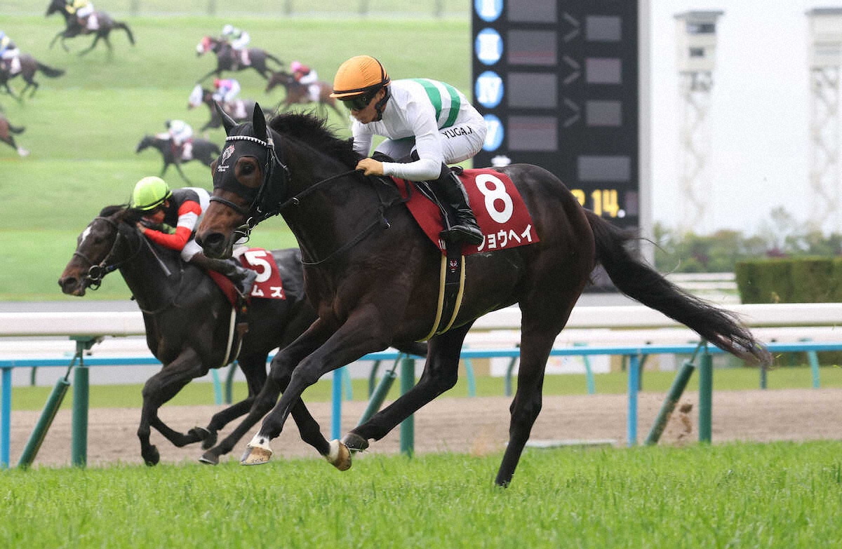 第74回 京都新聞杯