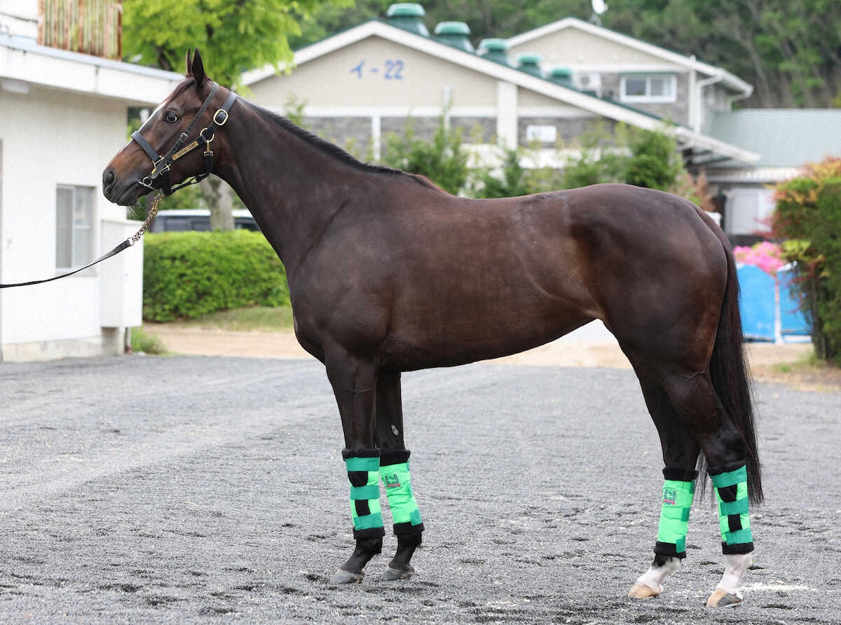 エリカエクスプレス