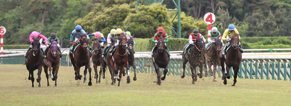 第48回 新潟大賞典