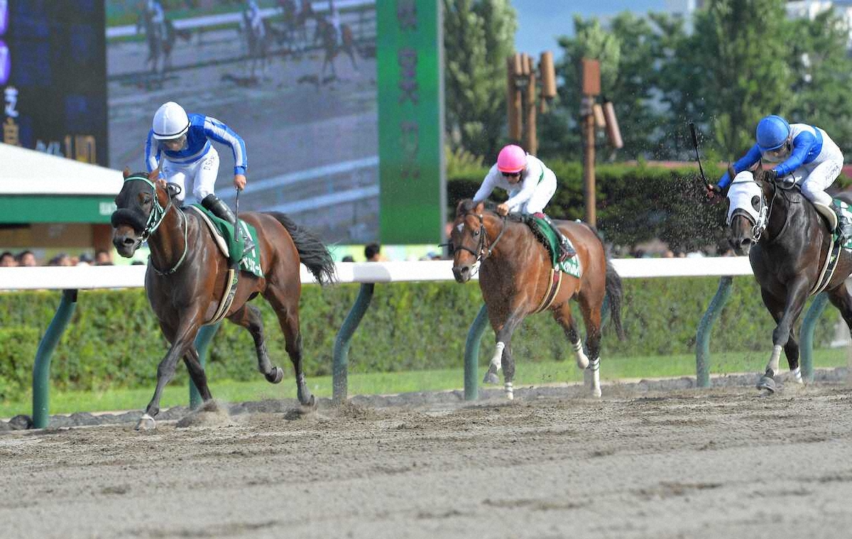 第31回 エルムステークス