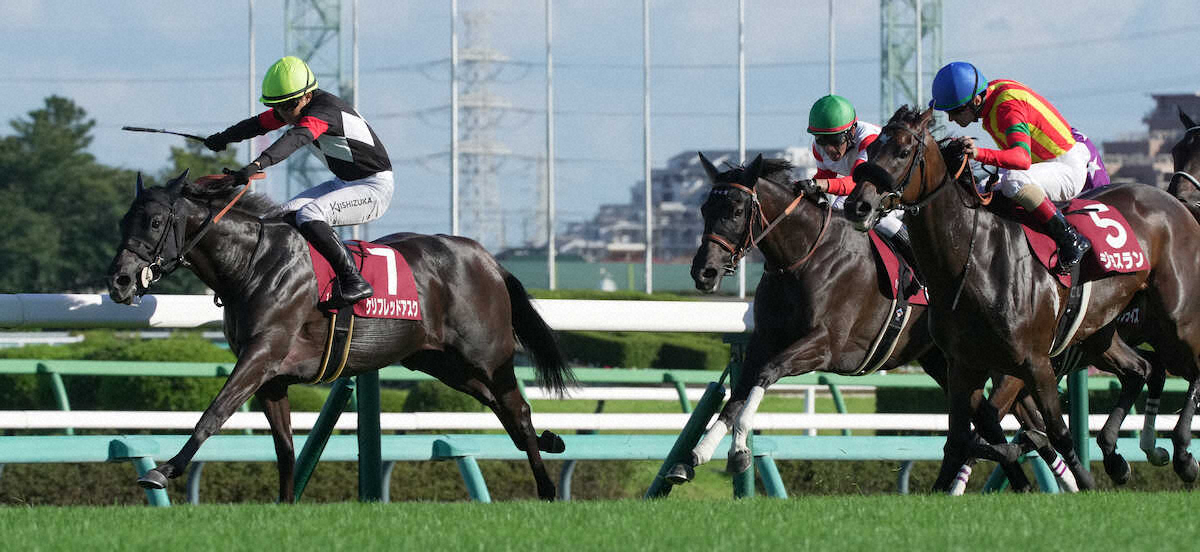 第11回 紫苑ステークス