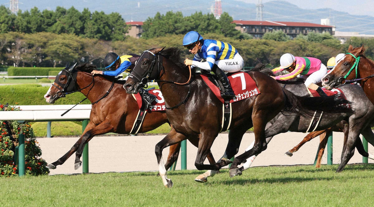 第40回 産経賞セントウルステークス
