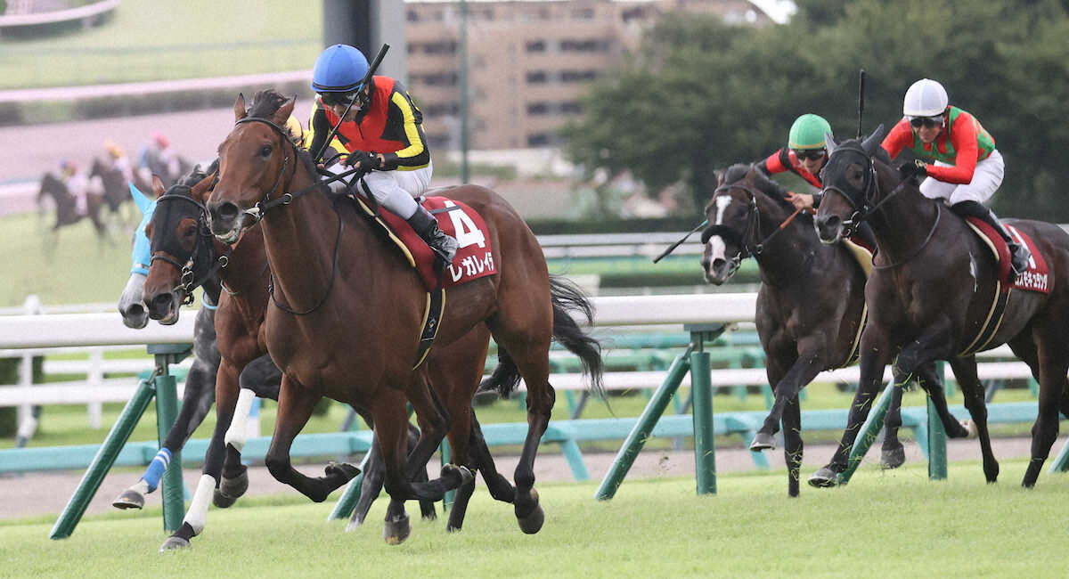 第72回 産経賞オールカマー