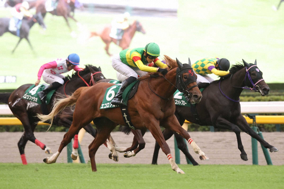 第12回 サウジアラビアロイヤルカップ